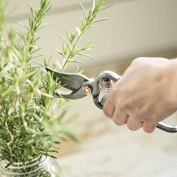 Pruner - Gardening Tool
