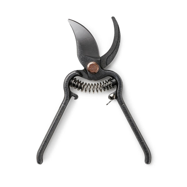 Pruner - Gardening Tool