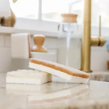 Mixed Scrubber Pack Nut Case