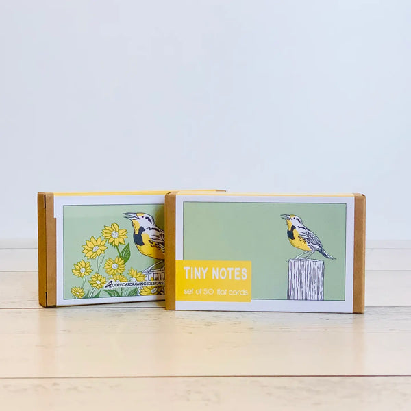 Meadowlark & Wildflowers Tiny Notes