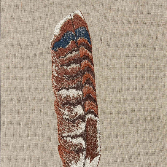 Red Tail Hawk Feather Tea Towel