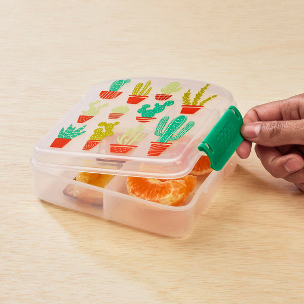 Happy Cactus Sandwich Bag