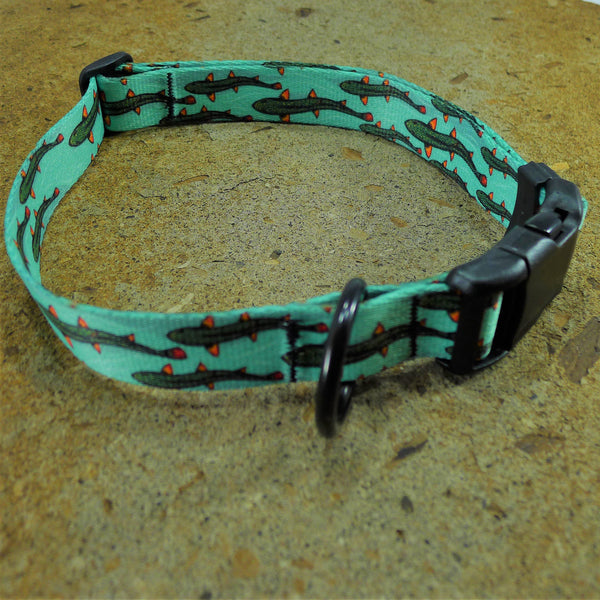 Flow Medium Dog Collar