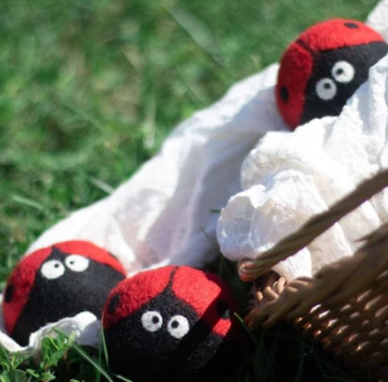 Lady Bug Dryer Ball