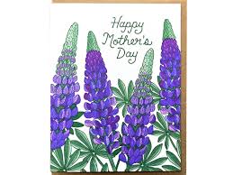 Mom Lupine Card