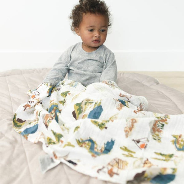 Wyoming and Western Swaddle, Set of 2