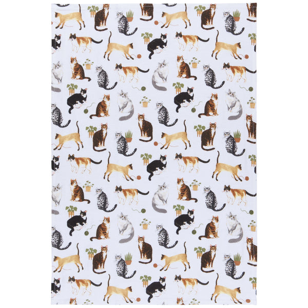 Cat Collective Floursack Tea Towels Set of 3