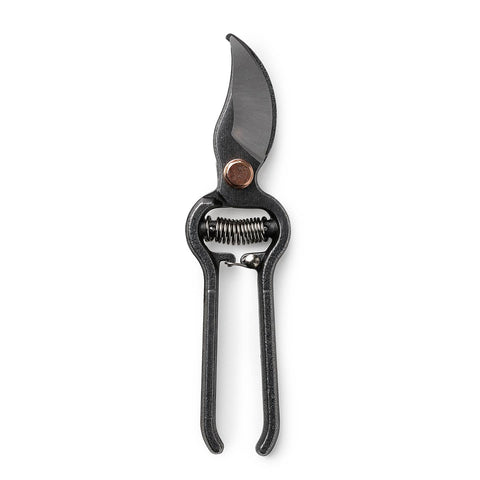 Pruner - Gardening Tool