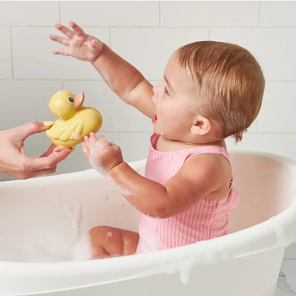 Rubber Duck Family