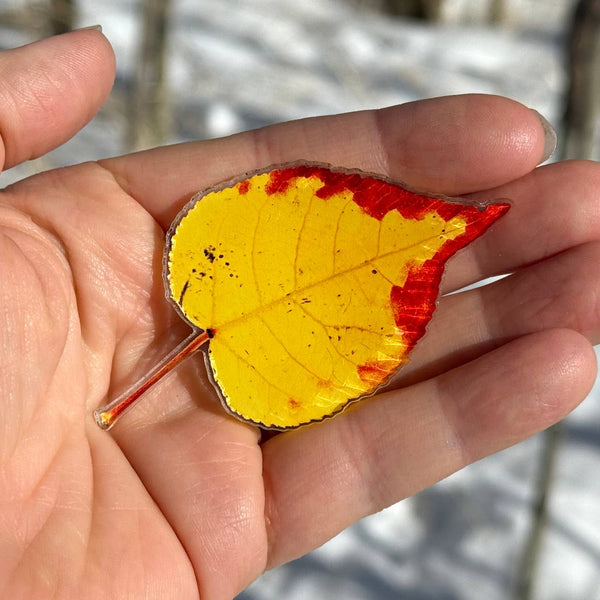 Aspen Leaf Magnet, 3" Yellow & Red