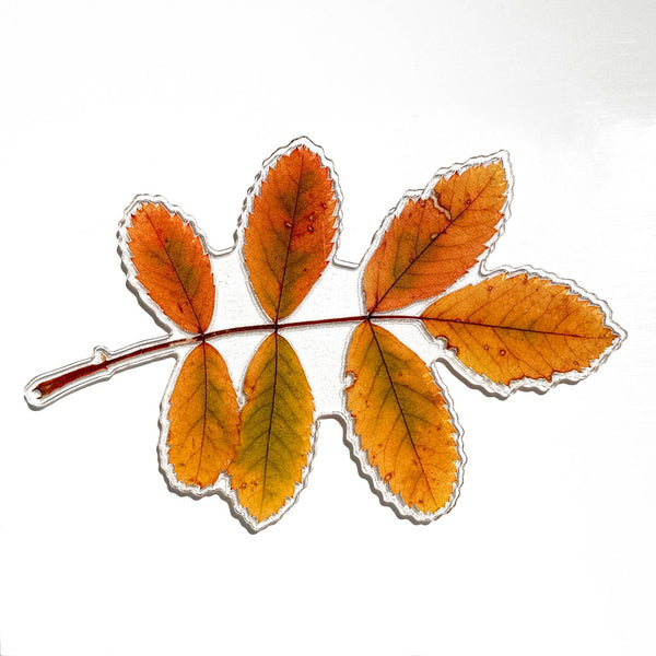Wild Woods Rose Leaf Magnet, 5"