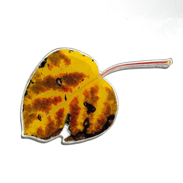 Aspen Leaf Magnet, 3" Multi-colored