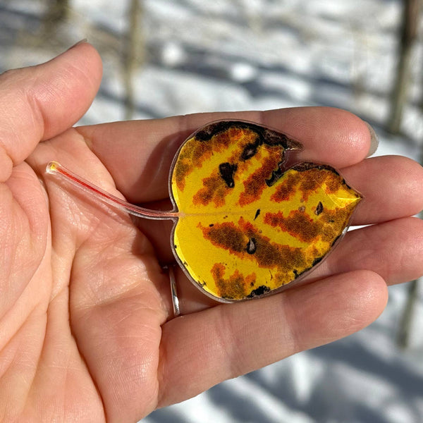 Aspen Leaf Magnet, 3" Multi-colored