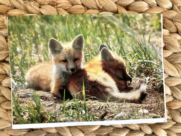 Jaden's Fox Kits, Notecard set of 6
