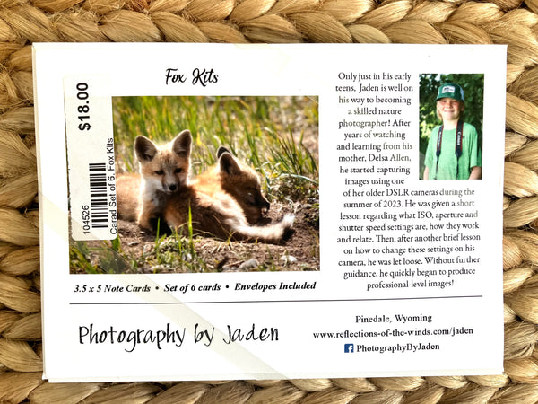 Jaden's Fox Kits, Notecard set of 6