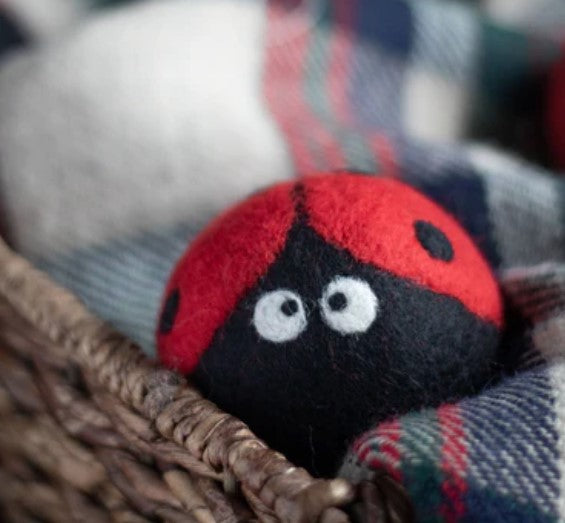 Lady Bug Dryer Ball