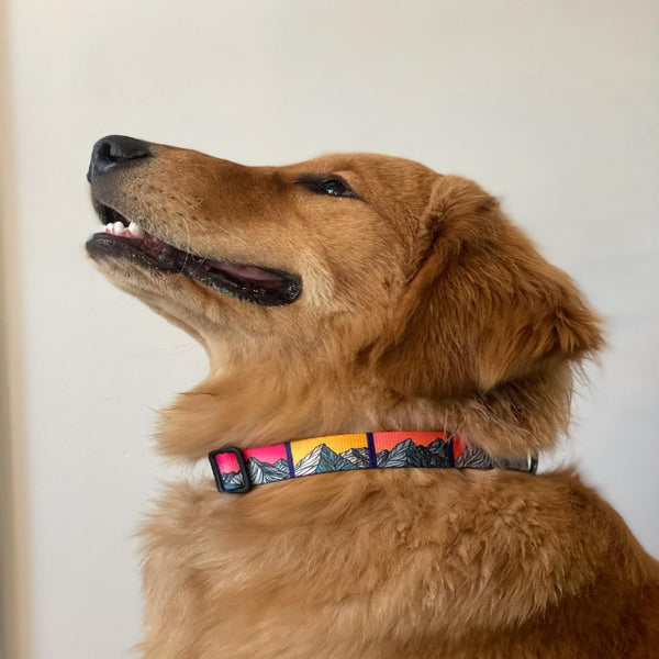 Small Idaho Dog Collar
