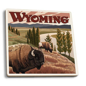 Bison & Yellowstone River Coaster