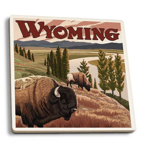 Bison & Yellowstone River Coaster