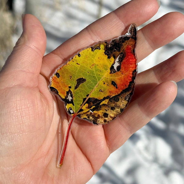 Aspen Leaf Magnet, 4" Rainbow
