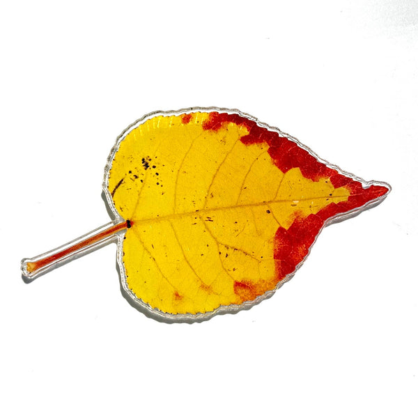 Aspen Leaf Magnet, 3" Yellow & Red