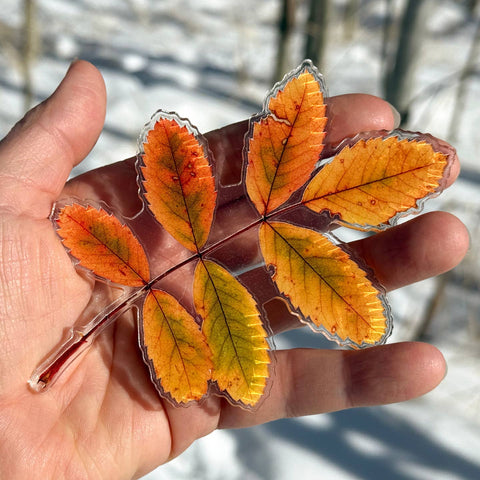 5" Acrylic Wild Woods Rose Leaf Magnet