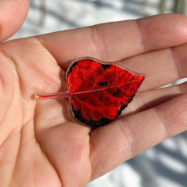 Aspen Leaf Magnet, 2" Red