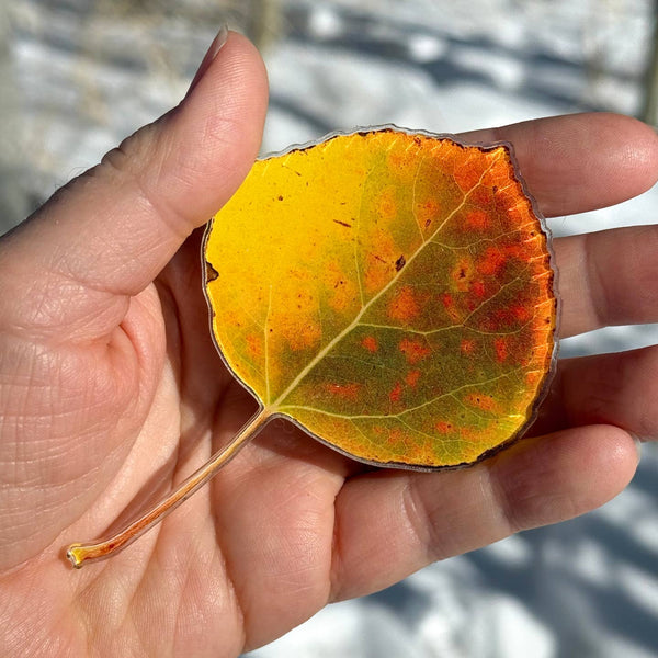 Aspen Leaf Magnet, 4" With Spots