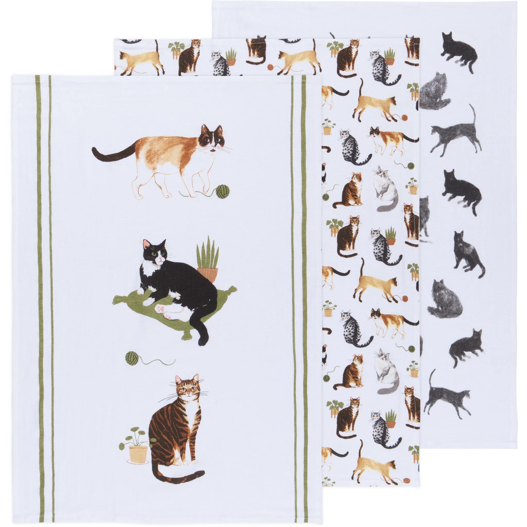 Cat Collective Floursack Tea Towels Set of 3