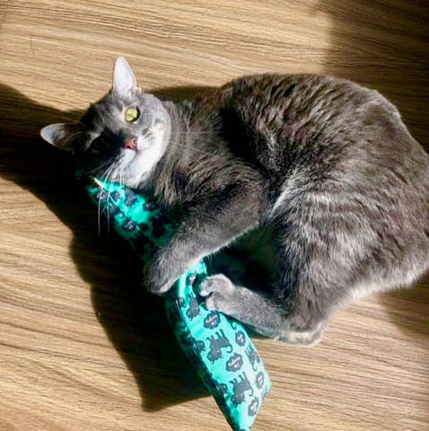 Kick-its Cat Toy with Crinkle